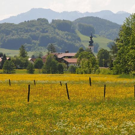 Ferienwohnungen Im Alpengaestehaus Marzoll - Bad Reichenhall Exterior foto